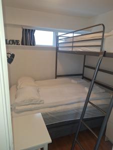 Kjósahreppur索尔维耶尔度假屋的一间卧室配有一张双层床和梯子