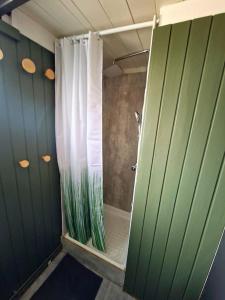 霍尔斯沃德吕尔Green Farm Stay with private hot tub的带淋浴和浴帘的浴室