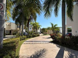 巴亚尔塔港Casa hermosa y acogedora en condominio privado的一条棕榈树成荫的车道,一条棕榈树成荫的街道