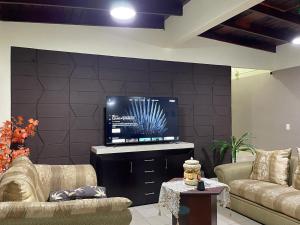 巴拿马城HOSTAL IBRAIS的客厅配有2张沙发和1台平面电视