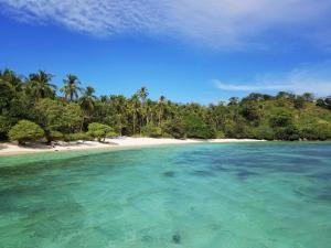 Cayo Coco - Island Glamping的享有棕榈树海滩和水域的景色