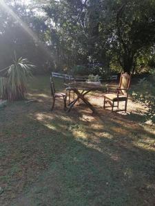 FreireCisnes del tolten的公园里两个长椅和一张野餐桌