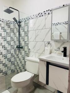 卡布雷拉City suite Apartment 1 Cabrera的一间带卫生间、水槽和镜子的浴室