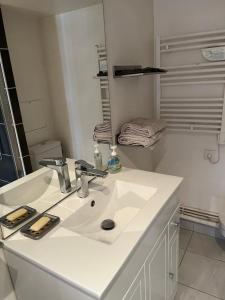 圣日耳曼昂莱bel appartement chic et cosy 78100的白色的浴室设有水槽和镜子