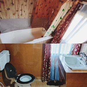 斯利那加Houseboat wild rose的一间带卫生间和水槽的浴室