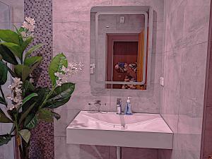 惠灵顿新地苑汽车旅馆的一间带水槽和镜子的浴室