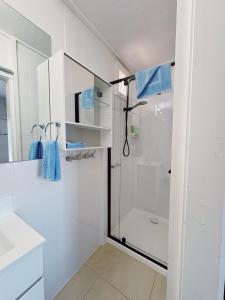 西摩西摩汽车旅馆 的带淋浴和卫生间的白色浴室
