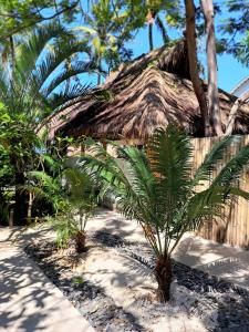 吉利特拉旺安Eden Eco Resort的两棵棕榈树,在一座建筑前