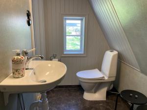 格里斯勒港Pensionat Grisslehamn的一间带水槽和卫生间的浴室以及窗户。