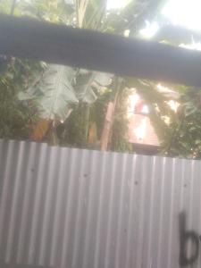 加尔各答Hours home的享有白色围栏和一些植物的景色