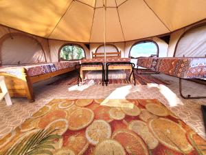 纳伯斯4 Unique Rental Tents Choose from a Bell, Cabin, or Yurt Tent All with Kitchenettes & Comfy beds NO BEDDING SUPPLIED的地板上带地毯的帐篷内部