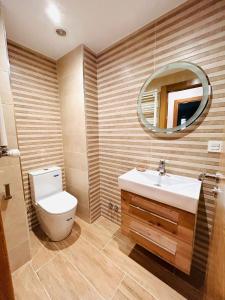 米拉多罗Apartamento San José的一间带卫生间、水槽和镜子的浴室