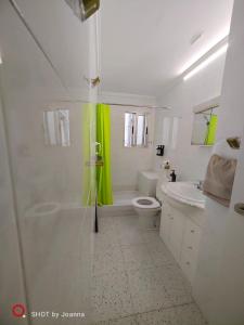 ChirivellaGolden Ambient Apartment的带淋浴和卫生间的白色浴室