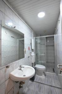 斯科普里Hostel Best Skopje的一间带水槽、淋浴和卫生间的浴室
