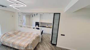 基希讷乌Аэропорт Апартаменты 24&24 Parking的一间卧室配有一张床和一间厨房