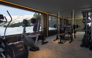 格劳罗伊格安道尔格劳罗奇精品Spa酒店的享有白雪 ⁇ 山景的健身房