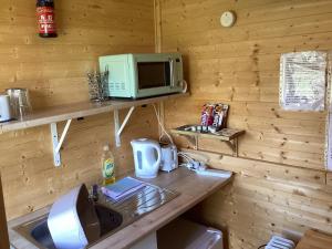Vigo VillageVigo Retreat cabin 2的小屋内的厨房配有微波炉和水槽