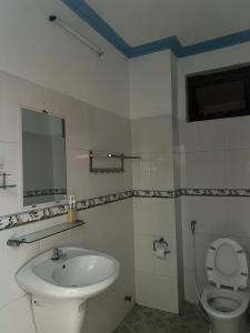 潘切Tulip Mui Ne的一间带水槽和卫生间的浴室