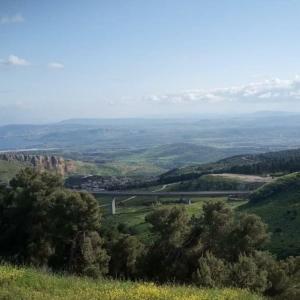 萨法德Two stand-alone flats on the cliff with wild animals, Galilee Sea & Mountains View的从树木茂密的山丘上欣赏到山谷的景色