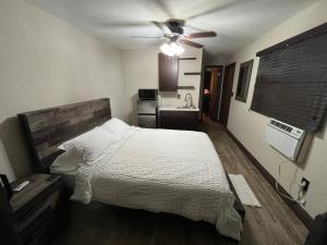 迈阿密cozy studio apartment with private entrance and patio的一间卧室配有一张床和吊扇