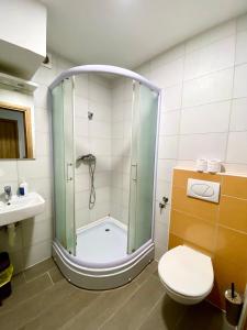 比哈奇Hotel Irish的带淋浴、卫生间和盥洗盆的浴室