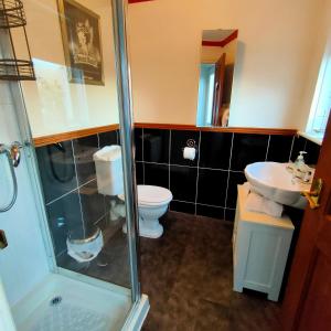 巴洛赫老斯密迪小屋和公寓的带淋浴、卫生间和盥洗盆的浴室