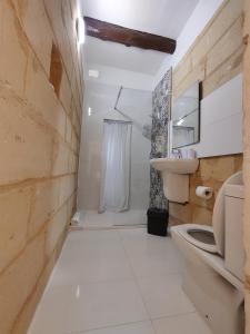卢加Peaceful Traditional Maltese Townhouse的一间带卫生间和水槽的浴室