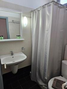 费拉莱塔酒店的一间带水槽和淋浴帘的浴室