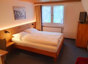 阿彭策尔Adler Hotel的一间卧室配有一张带窗户的床和一台电视