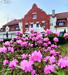 威利兹卡格兰得萨尔酒店的房子前面的一束粉红色的花