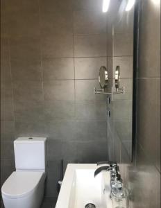 伊伦Casa Iparra Txiki Berri的一间带卫生间、水槽和镜子的浴室