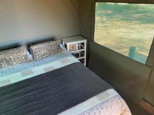 马加利斯堡Soetvlei Tented Farm Camp的一间小卧室,配有床和窗户