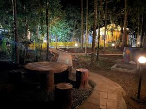 Mudumalai National ParkGreenwoods Nature Camp的夜间公园里的野餐桌