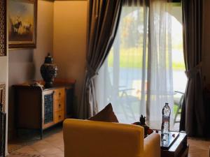 马拉喀什Pavillon du Golf -Palmeraie suites的客厅设有黄色椅子和窗户