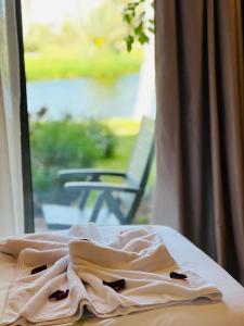 马拉喀什Pavillon du Golf -Palmeraie suites的窗前床边的毯子