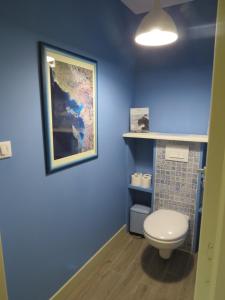 多吕多勒龙La Belle Insulaire à Vert Bois的蓝色的浴室设有卫生间,墙上挂着一幅画