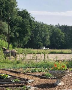 RanstGehele accommodatie met boshuisje en 3 woonwagens的种植园和田野动物的花园