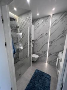 格但斯克Słoneczny apartament w Gdańsku的一间带卫生间和玻璃淋浴间的浴室