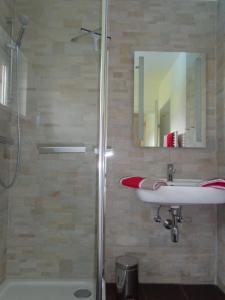 施特罗布尔K3 Ferienhaus的带淋浴、盥洗盆和镜子的浴室
