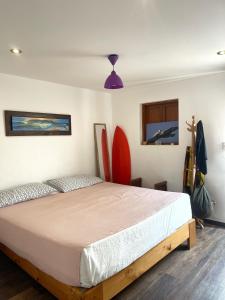 蓬塔赫尔莫萨El Templo Surf House的卧室配有一张壁挂式冲浪板的床