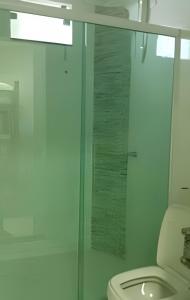 凯鲁Flats Nascer do Sol的一间带卫生间和玻璃淋浴间的浴室