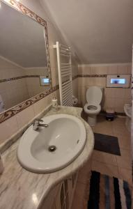 PegarinhosCasa da Oliveira的一间带水槽、卫生间和镜子的浴室