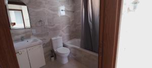 拉纳卡3 bedroom Villa in Pyla的浴室配有卫生间、盥洗盆和淋浴。