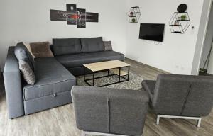赖因斯特滕Flat11 4-Zi Wohnung Messe Karlsruhe的带沙发和电视的客厅
