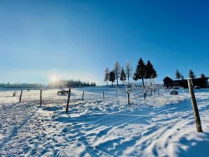 AltmelonKroneggerhof的一片覆盖着树木和栅栏的雪地