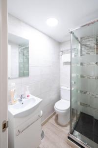 巴利亚多利德Apartamentos GO - Leopoldo Cano Center的白色的浴室设有卫生间和水槽。