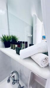帕罗奇亚叶莱尼酒店的浴室设有白色的架子,上面有植物和镜子