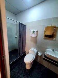 YurimaguasHOTEL EL TREBOL的浴室配有卫生间、淋浴和盥洗盆。