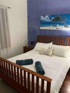 珀斯Cosy Home in Heart of Subiaco的卧室内的一张带两个枕头的床