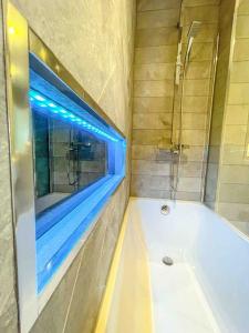 伦敦Luxury Apartment London的带浴缸和窗户的浴室